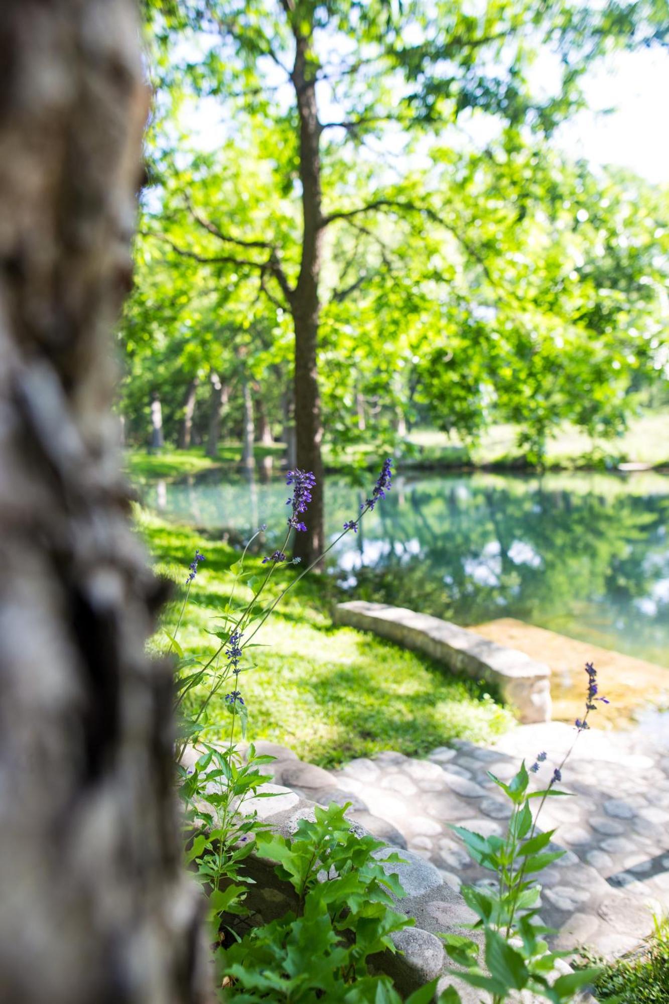 The Springs Retreat Leakey